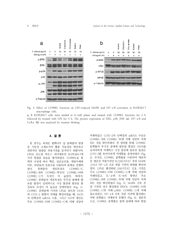 7. 권용진_8.png