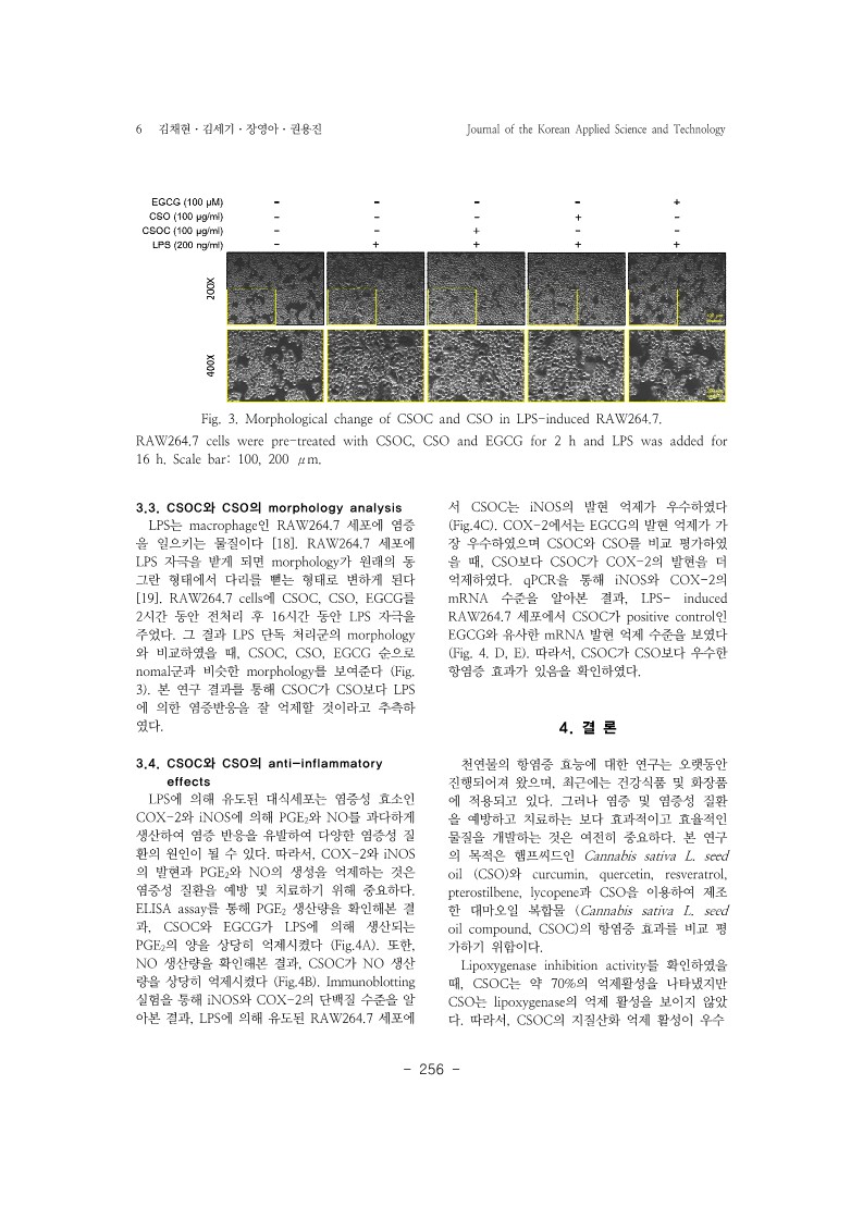 9. 권용진_6.jpg